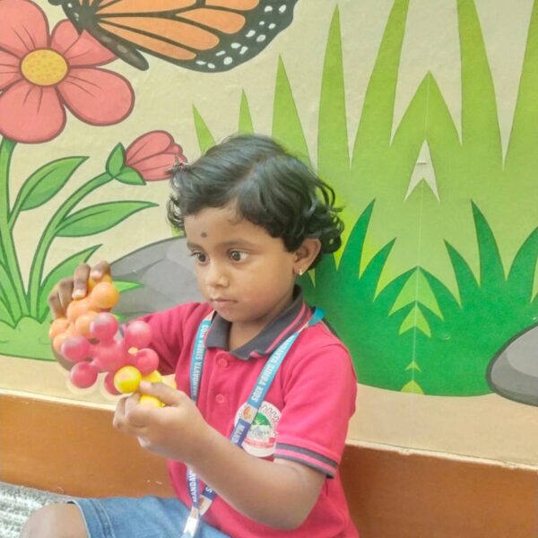 WhatsApp Image 2026-01-02 at 3.17.38 PM